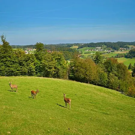 Lipoglav * Loče pri Poljčanah