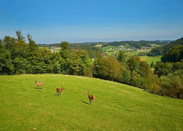 Lipoglav * Loče pri Poljčanah