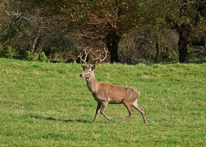 Lipoglav Ferienhaus Loče pri Poljčanah